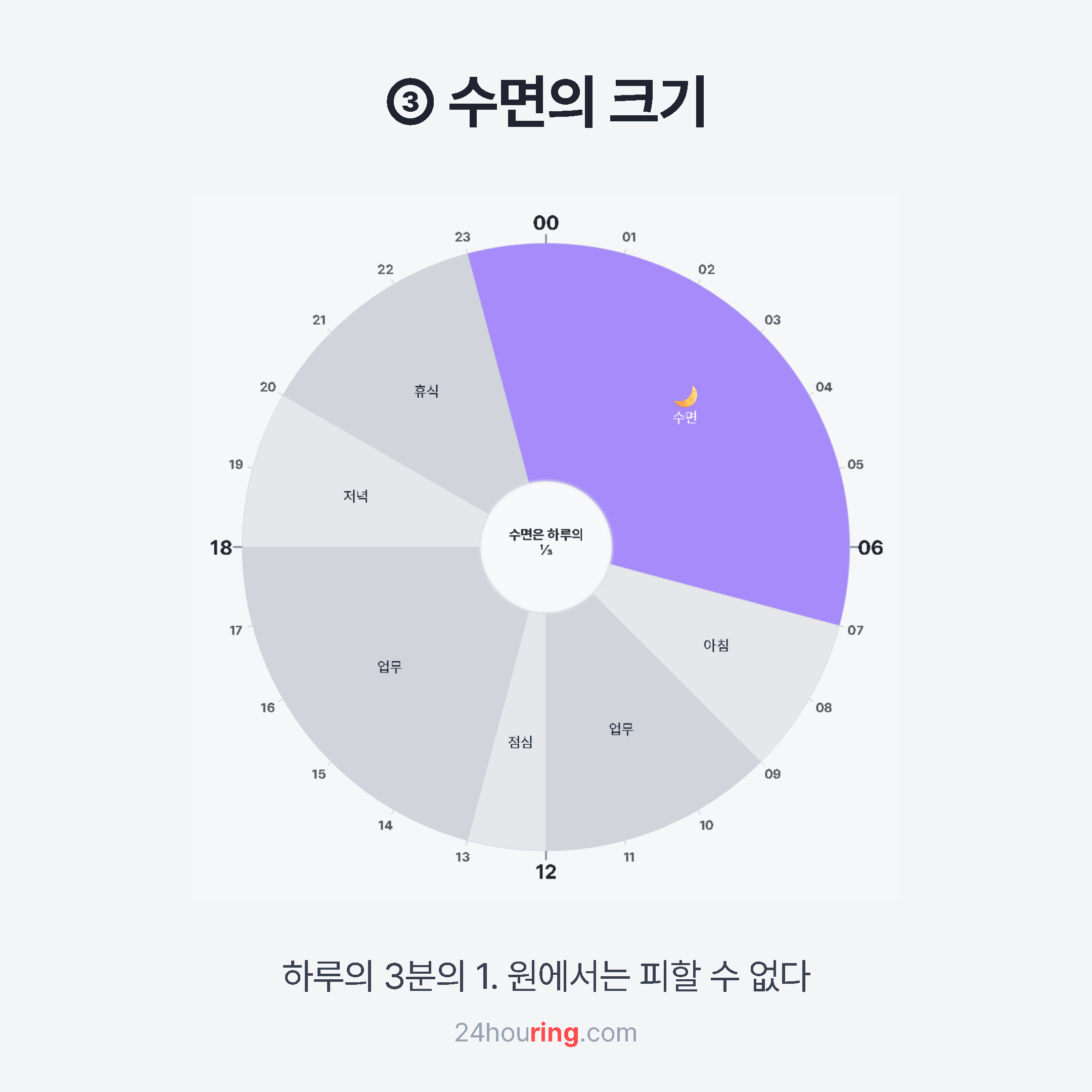 수면의 크기 — 수면 블록이 강조된 원형 시간표